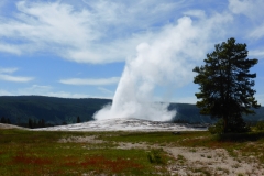 P1040092 - 2014-07-02 at 14-52-22