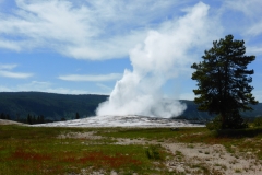 P1040093 - 2014-07-02 at 14-52-23