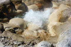 P1040124 - 2014-07-03 at 08-57-59