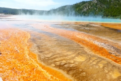 P1040141 - 2014-07-03 at 09-55-19