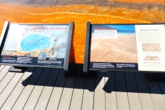 P1040142 - 2014-07-03 at 09-55-47