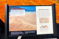 P1040143 - 2014-07-03 at 09-56-21