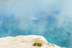 P1040149 - 2014-07-03 at 10-01-33