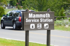 P1040159 - 2014-07-03 at 12-23-46