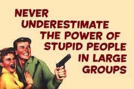 never_underestimate_stupid