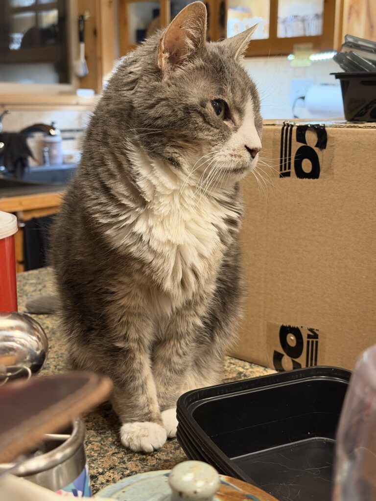 Read more about the article Making WordPress posts quick and easy… ish