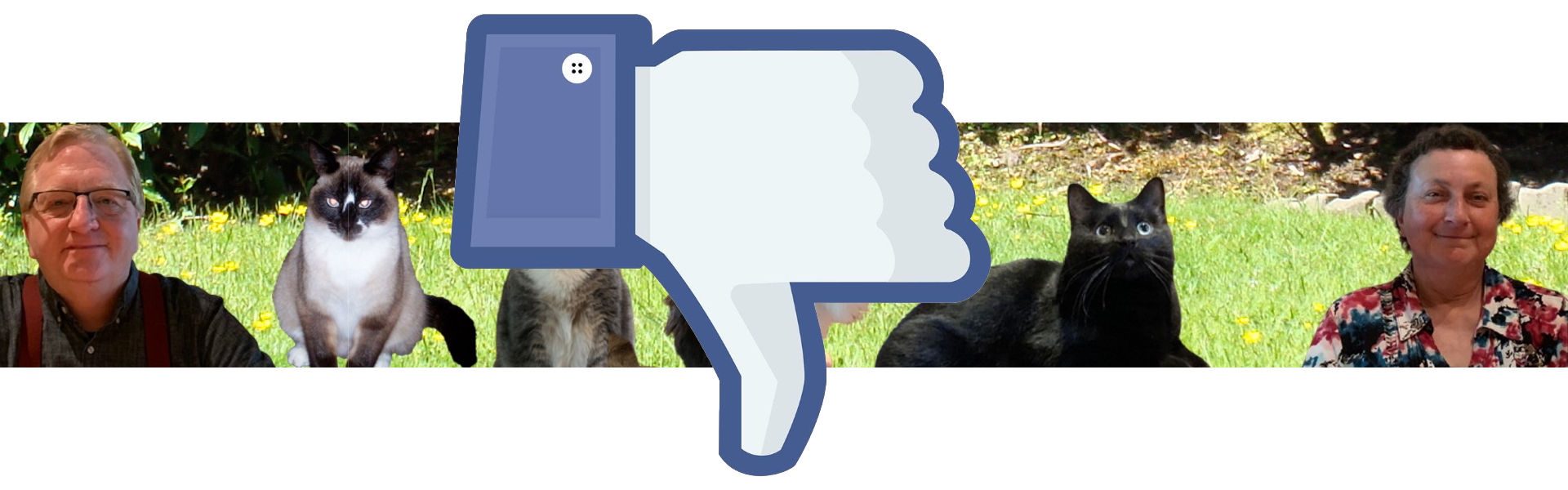 Read more about the article Will you click this link on Facebook?