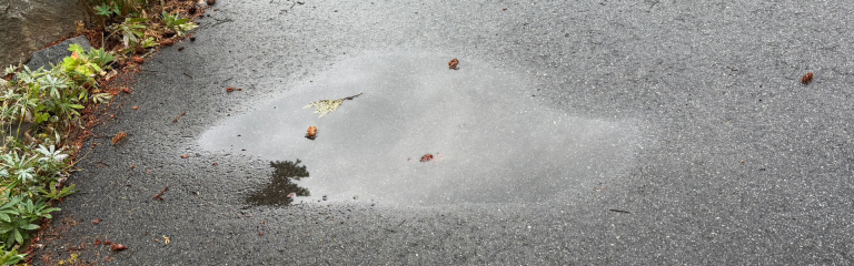Read more about the article First rain…